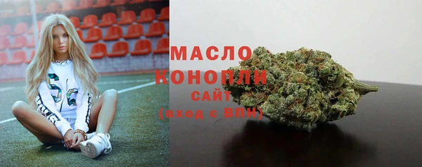 молекула духа Осинники