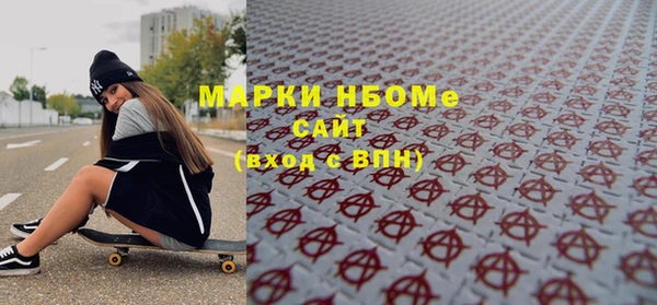 шишки Белокуриха